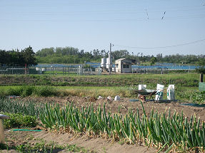 �N���b�N����ƌ��̃T�C�Y�ŕ\�����܂�